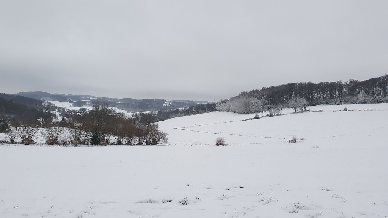 Frostbilder