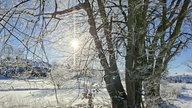 Frostbilder