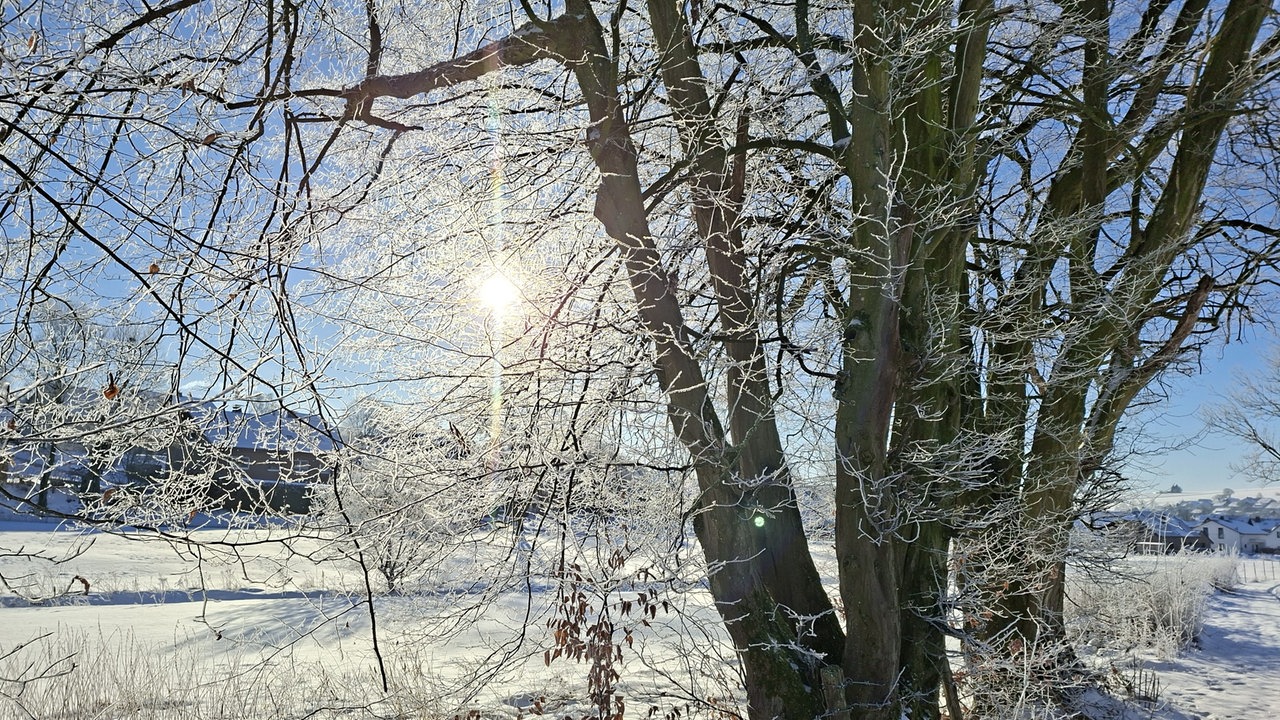 Frostbilder