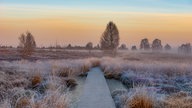 Frostbilder