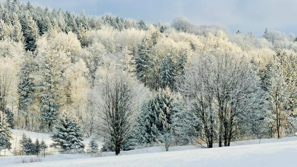 Frostbilder
