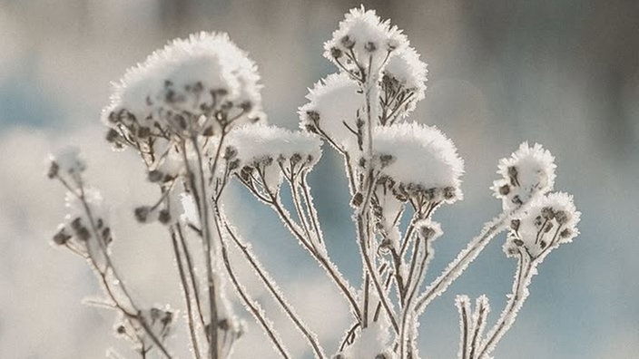 Frostbilder