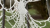 Frostbilder