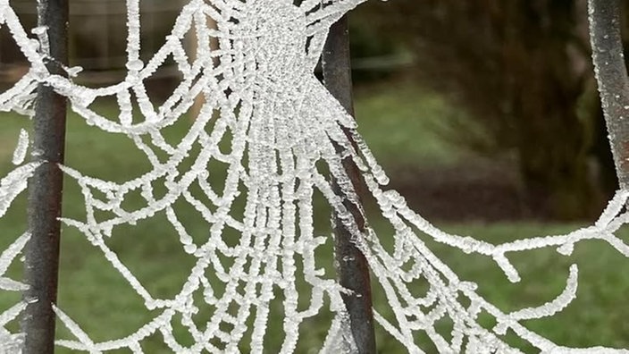 Frostbilder