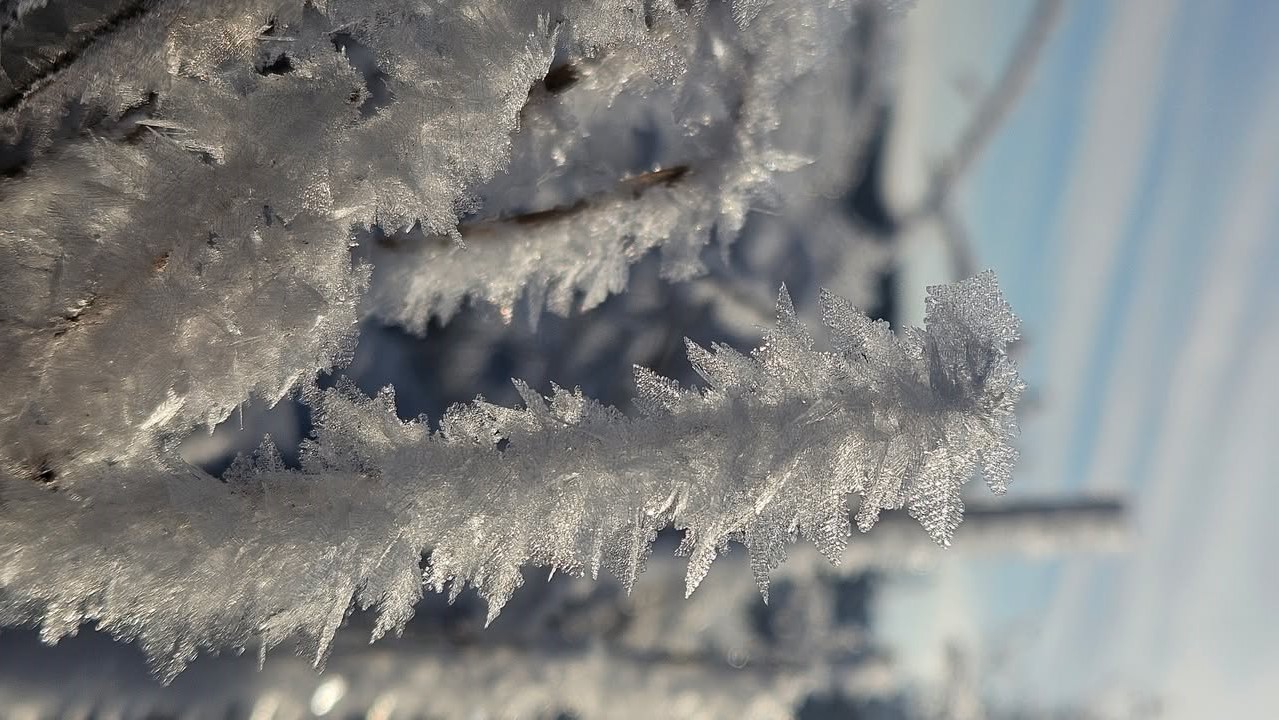 Frostbilder