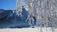 Frostbilder