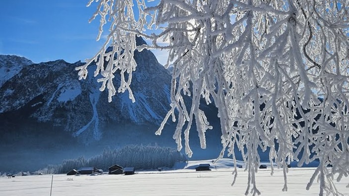 Frostbilder