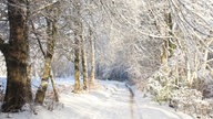 Frostbilder