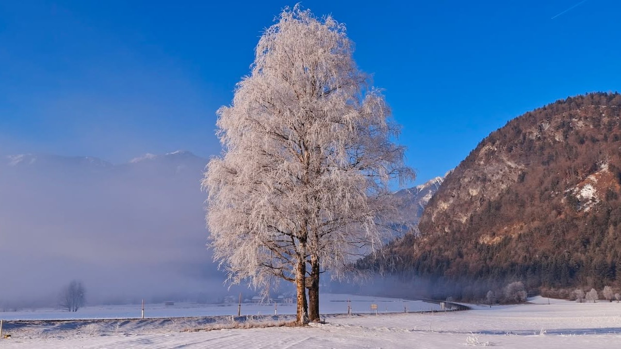 Frostbilder
