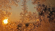 Frostbilder
