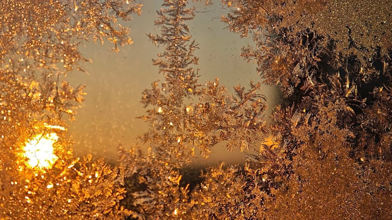 Frostbilder