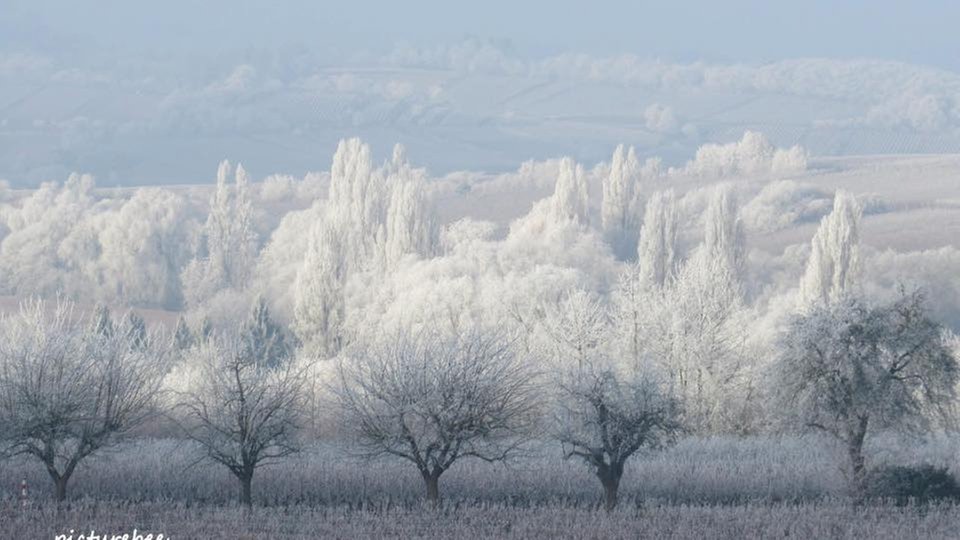 Frostbilder