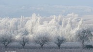 Frostbilder