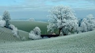 Frostbilder