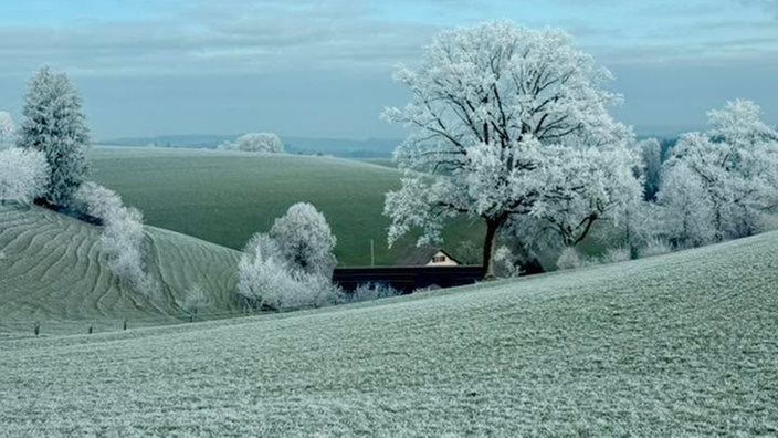 Frostbilder