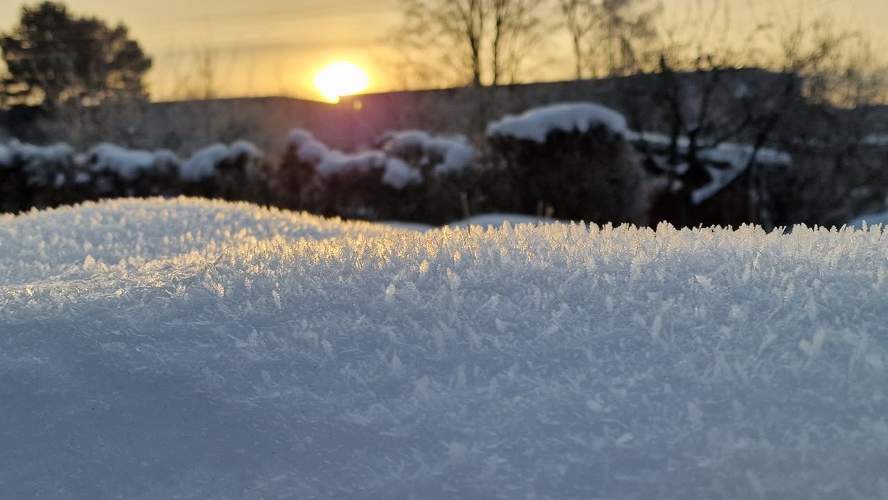 Frostbilder