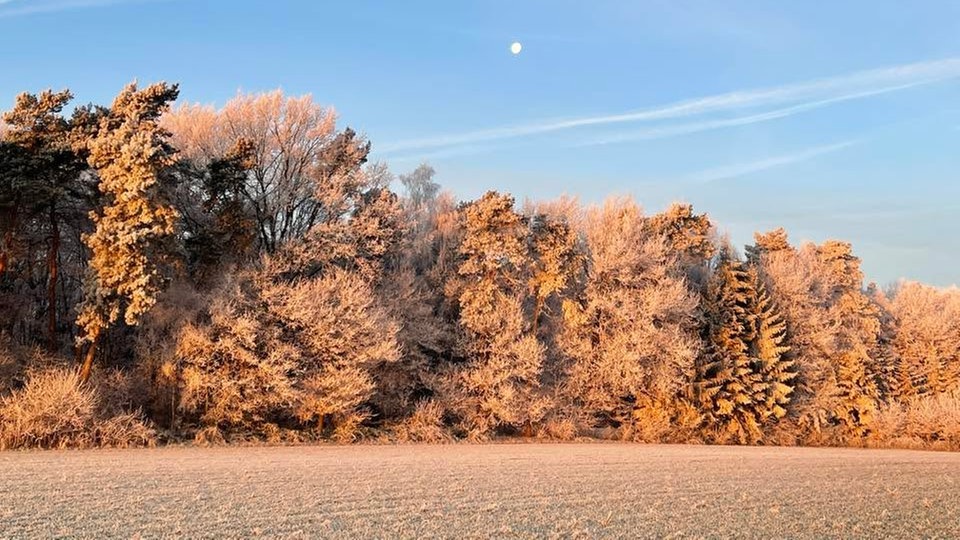 Frostbilder