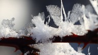 Frostbilder