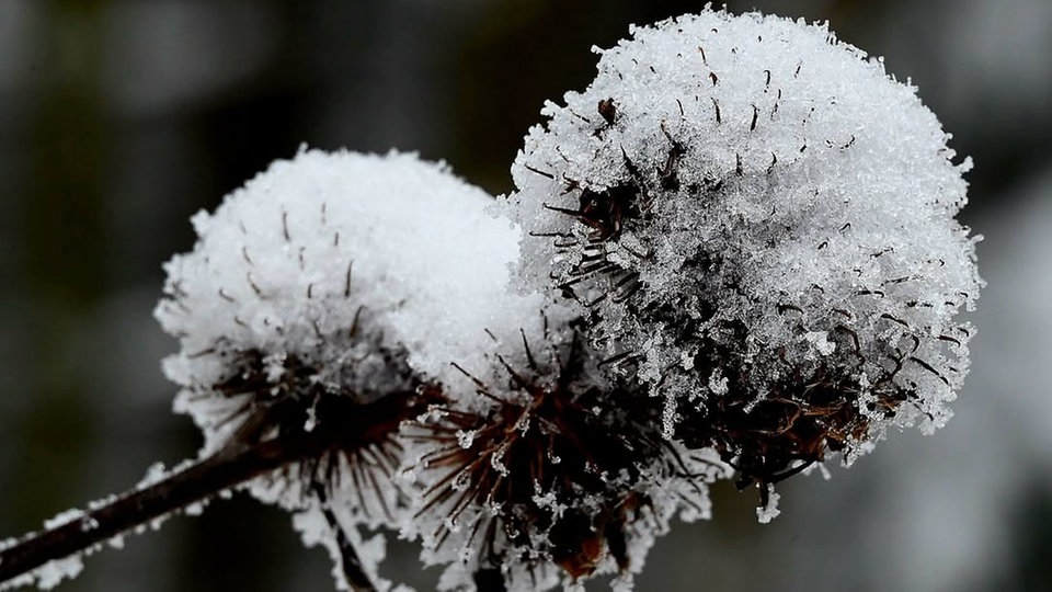 Frostbilder