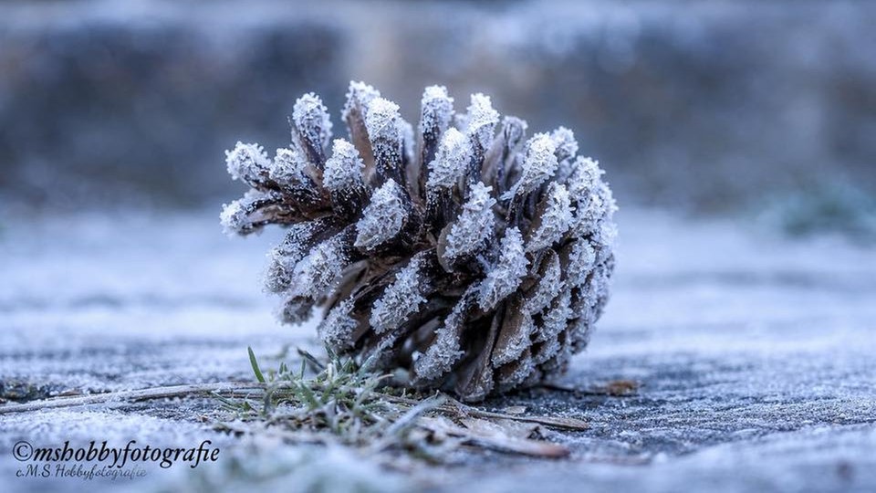 Frostbilder