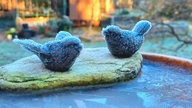 Frostbilder