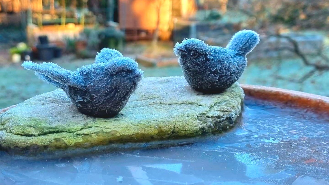 Frostbilder