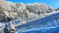 Frostbilder