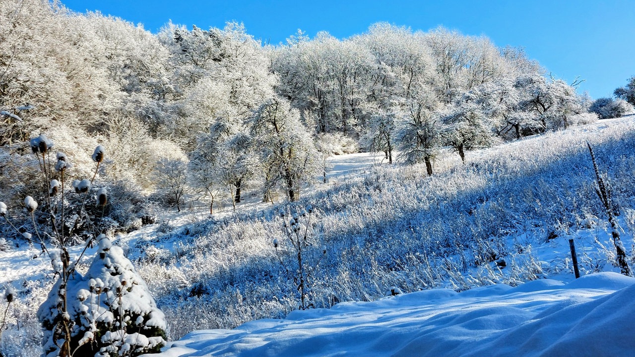 Frostbilder