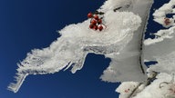 Frostbilder 