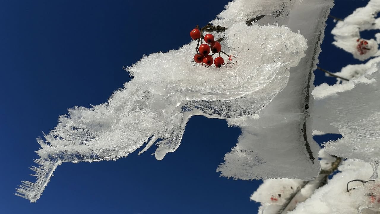 Frostbilder 