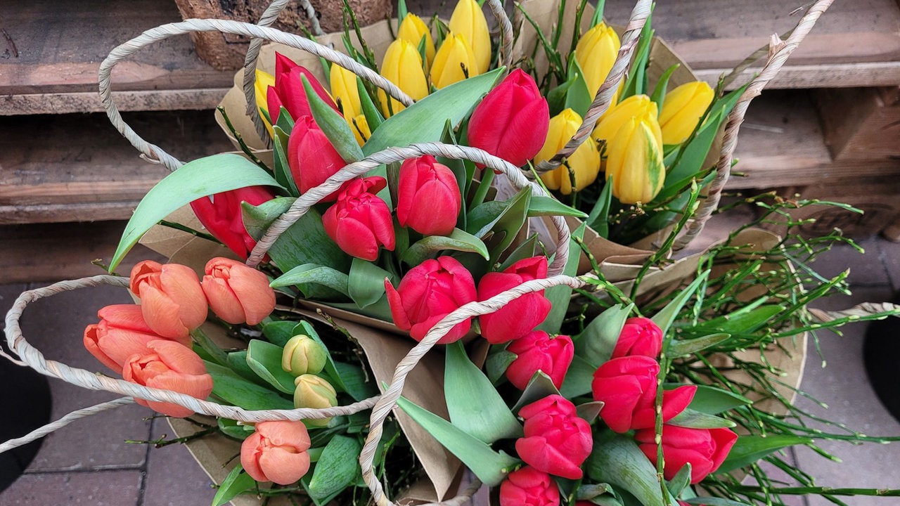 Ihre schönsten Frühlingsboten