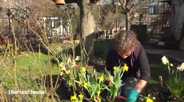 Garten unterwegs: Frühblüher perfekt für den Balkon 