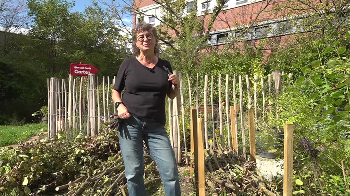 Garten unterwegs: Benjeshecke selbst bauen