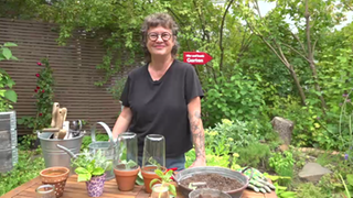 Titelbild Gartentipps