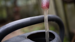 Gießkanne wird mit Wasser befüllt 
