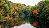 Ein kleiner See umgeben von herbstlichen Bäumen.