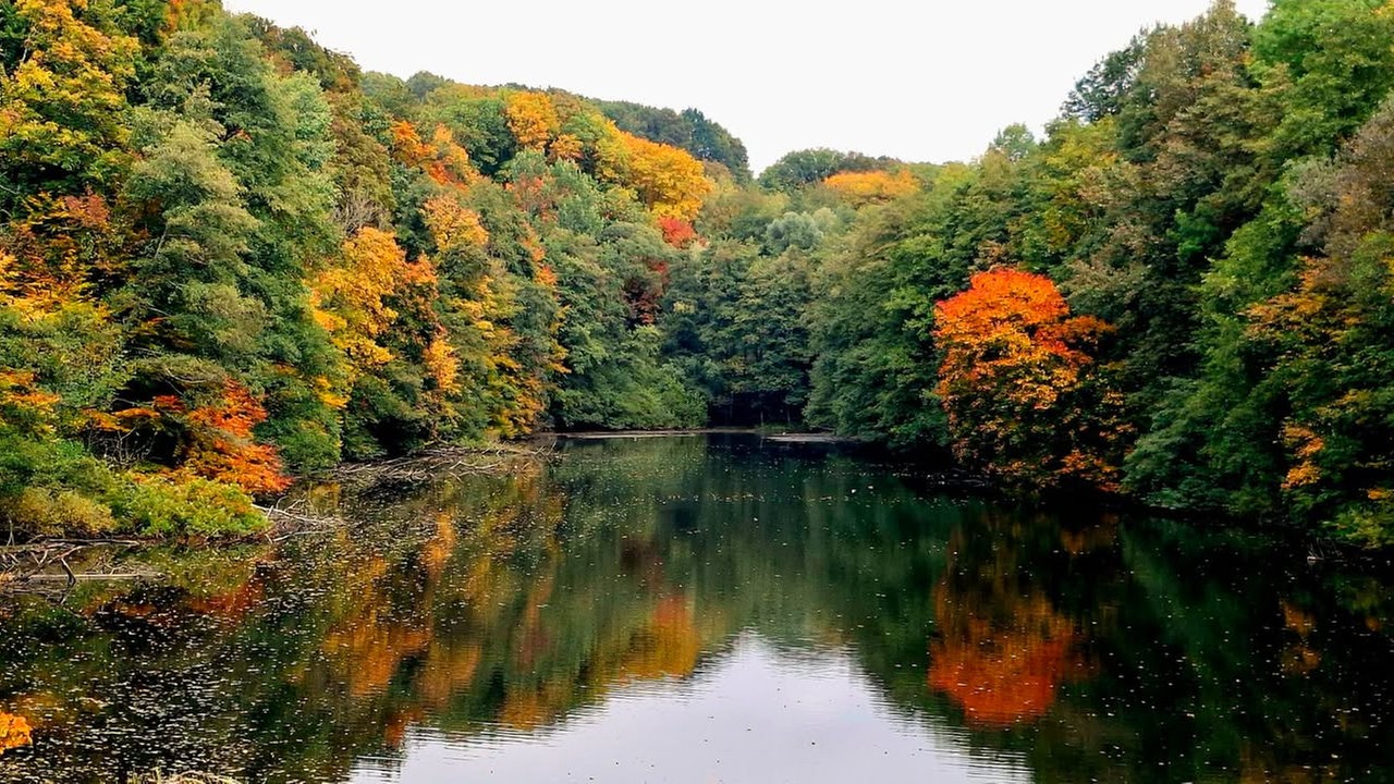 Ein kleiner See umgeben von herbstlichen Bäumen.