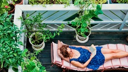 Frau liegt im Garten und liest.