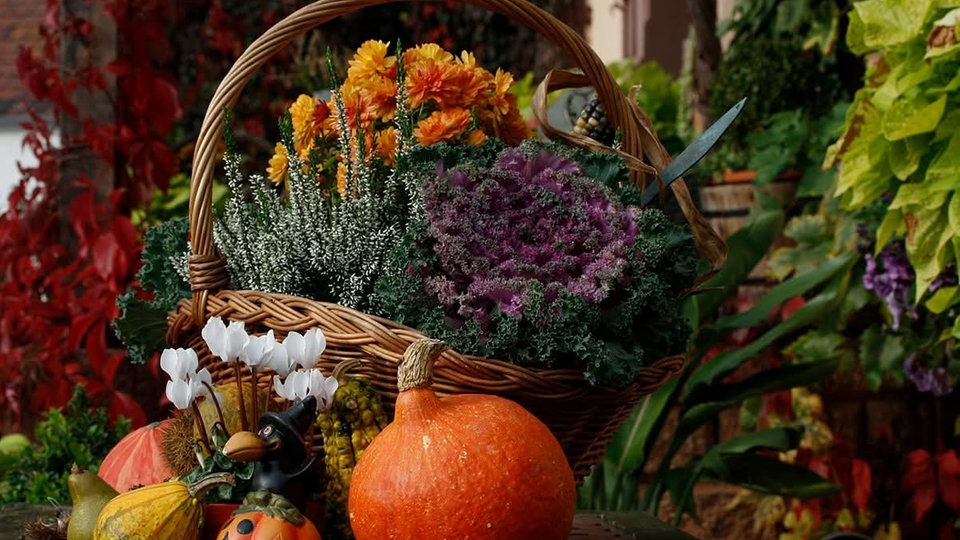 Herbstdeko