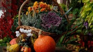 Herbstdeko