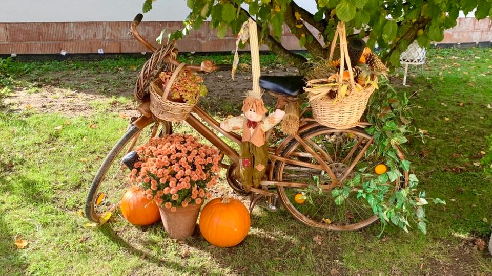 Herbstdeko
