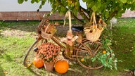 Herbstdeko