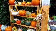 Herbstdeko