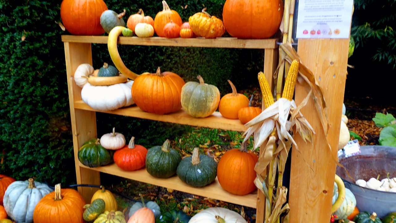 Herbstdeko
