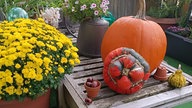 Herbstdeko