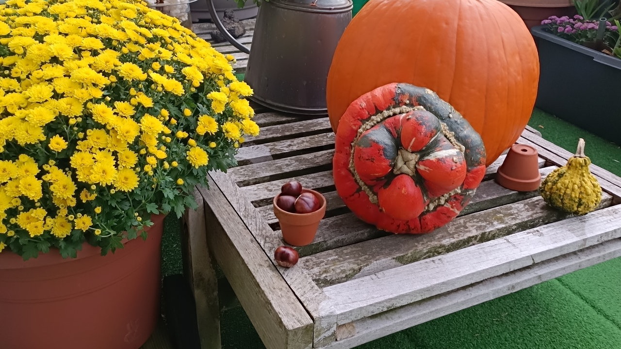 Herbstdeko