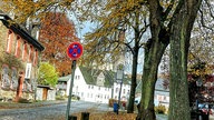 Ihr schönstes Herbstlaub
