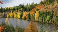 Harz