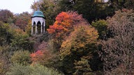 Park im Herbst