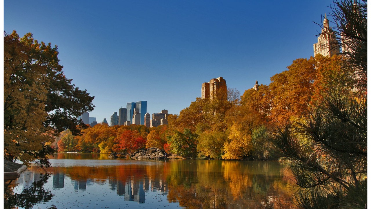 Park mit See und Stadt im HIntergrund